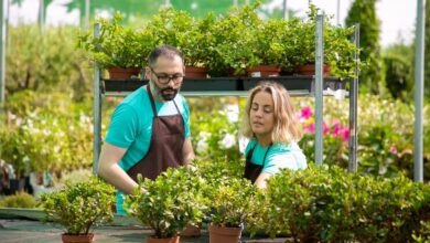the benefits of plant nurseries webfreen.com